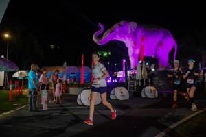 BIB: 
                            <button type="button" onclick="openModal(26552234)" class="btn btn-primary btn-sm float-right btn-popup" data-toggle="modal" data-target=".modal-high-quality">
                        <i class="fas fa-shopping-cart"></i> Add to Cart
                    </button>
                                            <button type="button" onclick="isThisMe(26552234, true)" class="btn btn-success btn-sm float-right btn-popup btn-isme hidden" data-toggle="tooltip" data-placement="bottom" title="นี่คือรูปของคุณใช่ไหม คลิกที่นี่เพื่อเอาเข้าอัลบั้ม">
                        <i class="fas fa-plus"></i> Add to album
                    </button>
                    <button type="button" onclick="isThisMe(26552234, false)" class="btn btn-warning btn-sm float-right btn-popup btn-isnotme hidden">
                        <i class="fas fa-ban"></i> Remove from album
                    </button>